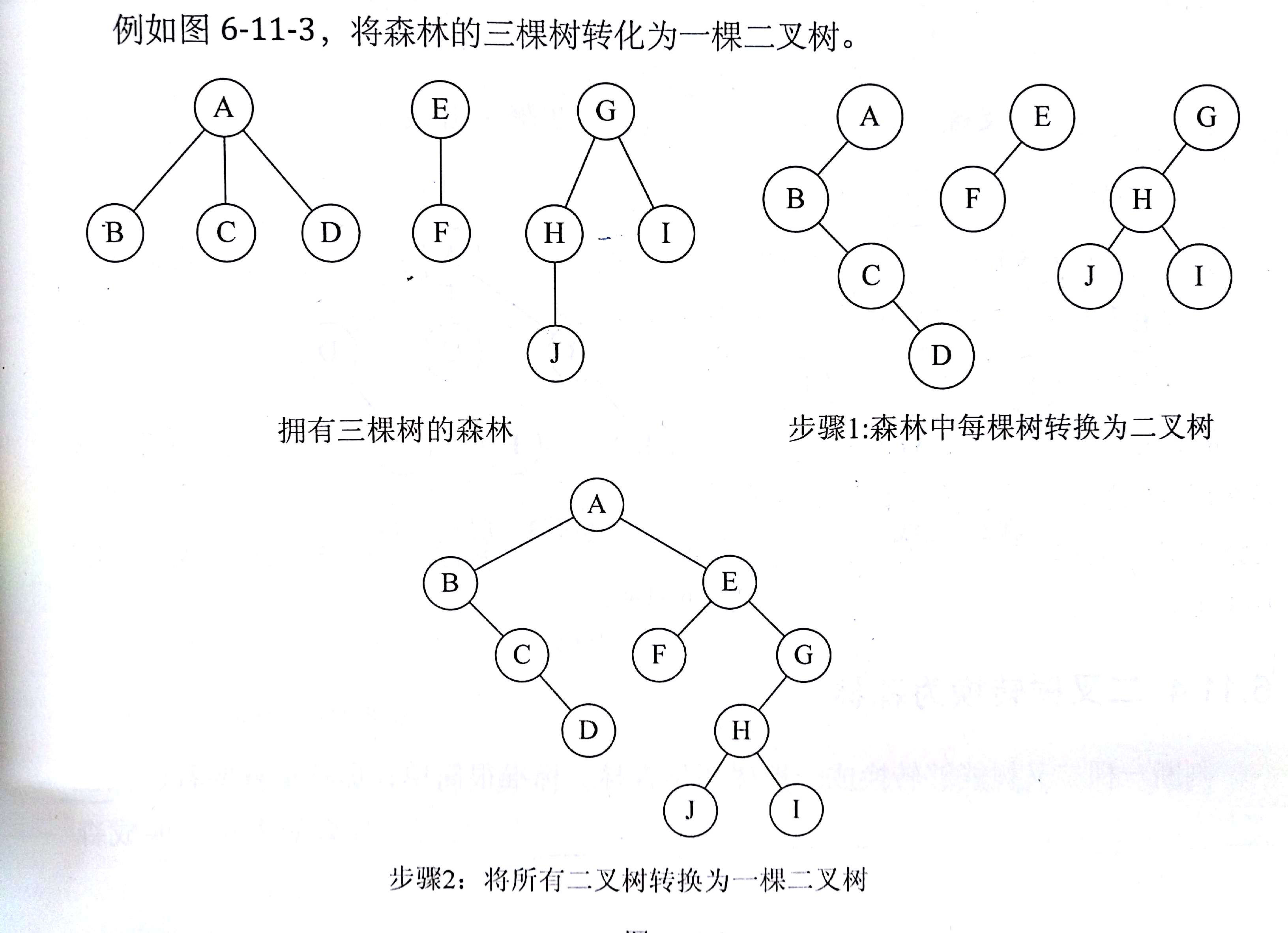 森林转换为二叉树